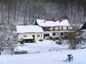 Quiet holiday home with terrace Korbach